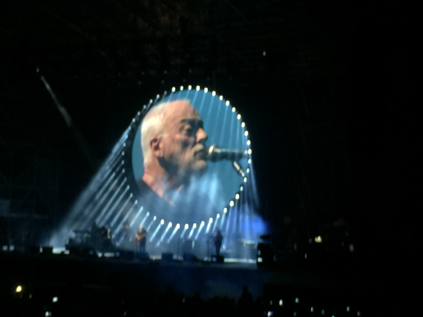 Il mitico David Gilmour in concerto