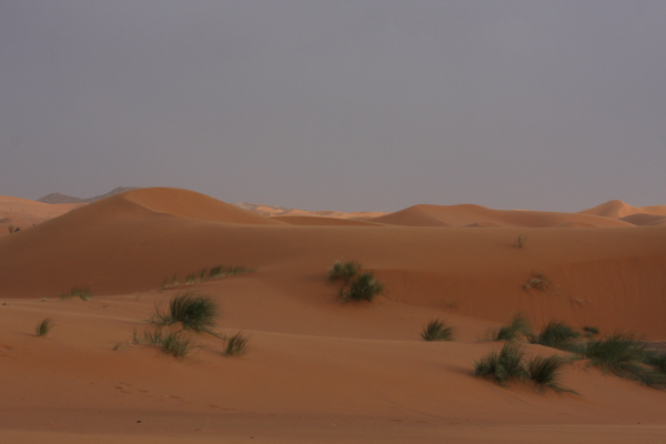 Deserto di Merzouga (Marocco)