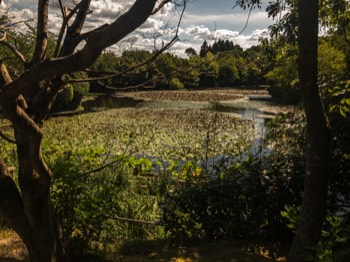  Il giardino di Kinkaku-ji 