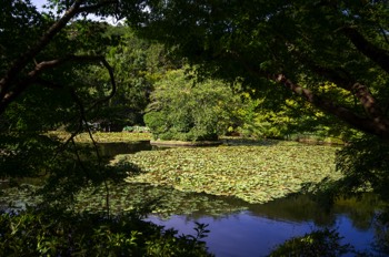  Il giardino di Ryoanji 