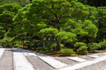  Il Giardino Zen di Ginkaku-ji 