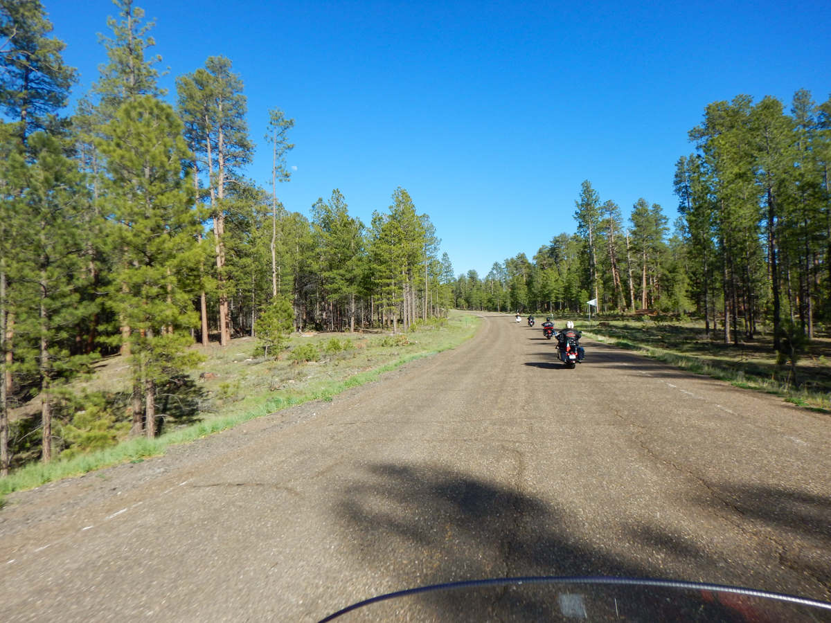 Kaibab National Forest